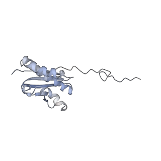 9242_6mte_QQ_v1-0
Rabbit 80S ribosome with eEF2 and SERBP1 (rotated state)
