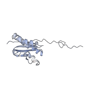 9242_6mte_QQ_v2-0
Rabbit 80S ribosome with eEF2 and SERBP1 (rotated state)