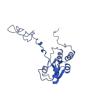 9242_6mte_Q_v1-0
Rabbit 80S ribosome with eEF2 and SERBP1 (rotated state)
