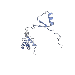 9242_6mte_RR_v1-0
Rabbit 80S ribosome with eEF2 and SERBP1 (rotated state)