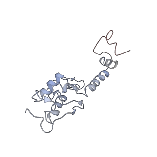 9242_6mte_SS_v1-0
Rabbit 80S ribosome with eEF2 and SERBP1 (rotated state)
