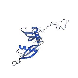 9242_6mte_S_v1-0
Rabbit 80S ribosome with eEF2 and SERBP1 (rotated state)