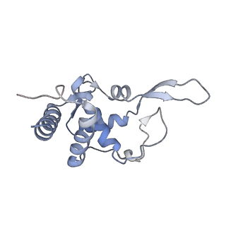 9242_6mte_TT_v1-0
Rabbit 80S ribosome with eEF2 and SERBP1 (rotated state)