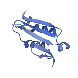 9242_6mte_U_v1-0
Rabbit 80S ribosome with eEF2 and SERBP1 (rotated state)