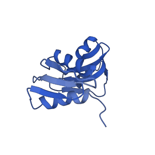 9242_6mte_WW_v1-0
Rabbit 80S ribosome with eEF2 and SERBP1 (rotated state)
