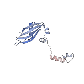 9242_6mte_YY_v1-0
Rabbit 80S ribosome with eEF2 and SERBP1 (rotated state)