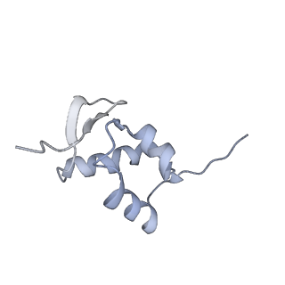 9242_6mte_ZZ_v1-0
Rabbit 80S ribosome with eEF2 and SERBP1 (rotated state)