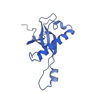 9242_6mte_Z_v1-0
Rabbit 80S ribosome with eEF2 and SERBP1 (rotated state)