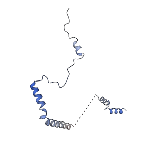 9242_6mte_b_v1-0
Rabbit 80S ribosome with eEF2 and SERBP1 (rotated state)