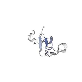 9242_6mte_bb_v1-0
Rabbit 80S ribosome with eEF2 and SERBP1 (rotated state)