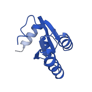 9242_6mte_c_v2-0
Rabbit 80S ribosome with eEF2 and SERBP1 (rotated state)