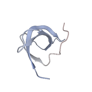 9242_6mte_cc_v1-0
Rabbit 80S ribosome with eEF2 and SERBP1 (rotated state)