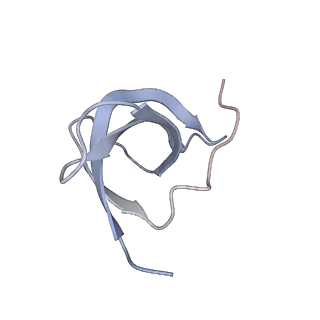 9242_6mte_cc_v2-0
Rabbit 80S ribosome with eEF2 and SERBP1 (rotated state)