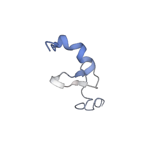 9242_6mte_dd_v1-0
Rabbit 80S ribosome with eEF2 and SERBP1 (rotated state)