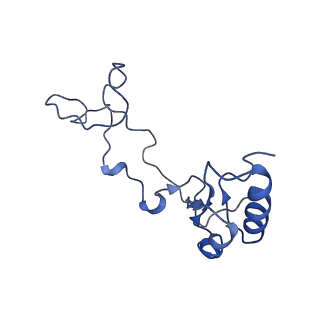 9242_6mte_e_v1-0
Rabbit 80S ribosome with eEF2 and SERBP1 (rotated state)
