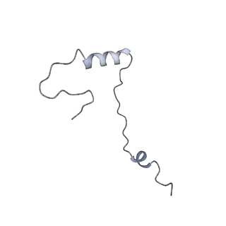 9242_6mte_ee_v1-0
Rabbit 80S ribosome with eEF2 and SERBP1 (rotated state)