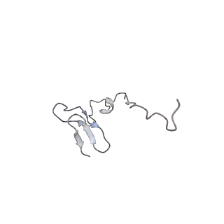 9242_6mte_ff_v1-0
Rabbit 80S ribosome with eEF2 and SERBP1 (rotated state)