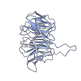 9242_6mte_gg_v1-0
Rabbit 80S ribosome with eEF2 and SERBP1 (rotated state)