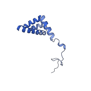 9242_6mte_i_v1-0
Rabbit 80S ribosome with eEF2 and SERBP1 (rotated state)