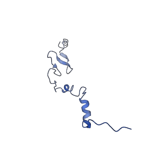 9242_6mte_j_v1-0
Rabbit 80S ribosome with eEF2 and SERBP1 (rotated state)