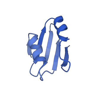 9242_6mte_k_v1-0
Rabbit 80S ribosome with eEF2 and SERBP1 (rotated state)