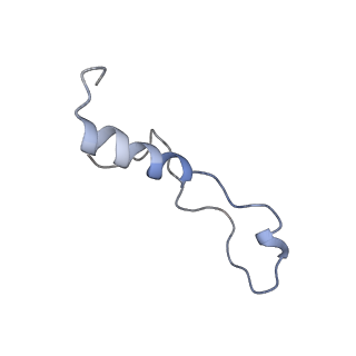 9242_6mte_l_v1-0
Rabbit 80S ribosome with eEF2 and SERBP1 (rotated state)