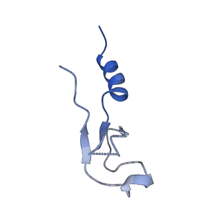 9242_6mte_m_v2-0
Rabbit 80S ribosome with eEF2 and SERBP1 (rotated state)