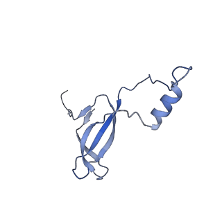 9242_6mte_o_v1-0
Rabbit 80S ribosome with eEF2 and SERBP1 (rotated state)
