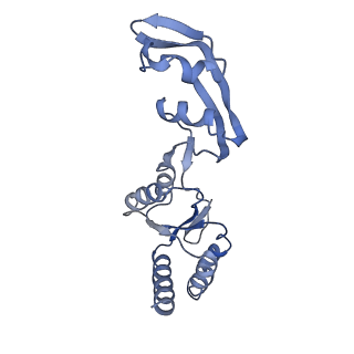 9242_6mte_s_v1-0
Rabbit 80S ribosome with eEF2 and SERBP1 (rotated state)