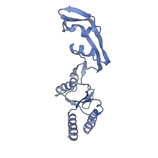 9242_6mte_s_v2-0
Rabbit 80S ribosome with eEF2 and SERBP1 (rotated state)