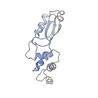 9242_6mte_t_v1-0
Rabbit 80S ribosome with eEF2 and SERBP1 (rotated state)