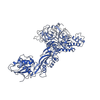 9242_6mte_v_v1-0
Rabbit 80S ribosome with eEF2 and SERBP1 (rotated state)