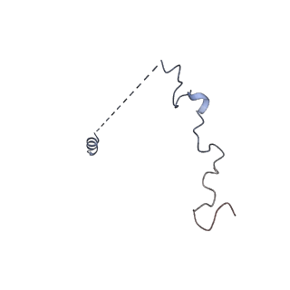 9242_6mte_w_v1-0
Rabbit 80S ribosome with eEF2 and SERBP1 (rotated state)