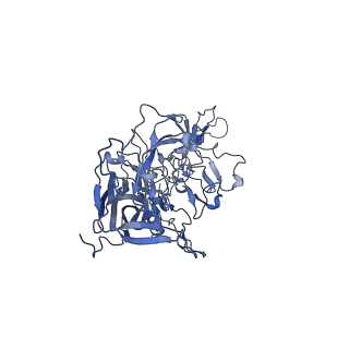 24003_7mua_1_v1-2
Structure of the adeno-associated virus 9 capsid at pH pH 5.5 in complex with terminal galactose
