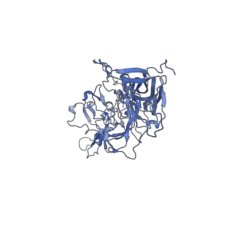 24003_7mua_4_v1-2
Structure of the adeno-associated virus 9 capsid at pH pH 5.5 in complex with terminal galactose
