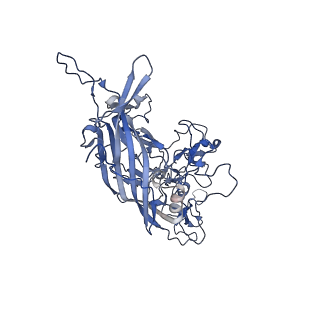 24003_7mua_7_v1-2
Structure of the adeno-associated virus 9 capsid at pH pH 5.5 in complex with terminal galactose