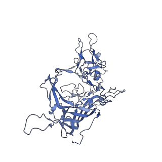 24003_7mua_C_v1-2
Structure of the adeno-associated virus 9 capsid at pH pH 5.5 in complex with terminal galactose