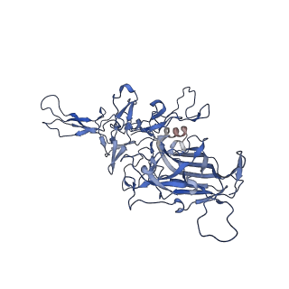 24003_7mua_D_v1-2
Structure of the adeno-associated virus 9 capsid at pH pH 5.5 in complex with terminal galactose