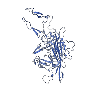 24003_7mua_F_v1-2
Structure of the adeno-associated virus 9 capsid at pH pH 5.5 in complex with terminal galactose