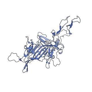 24003_7mua_G_v1-2
Structure of the adeno-associated virus 9 capsid at pH pH 5.5 in complex with terminal galactose