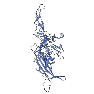 24003_7mua_J_v1-2
Structure of the adeno-associated virus 9 capsid at pH pH 5.5 in complex with terminal galactose