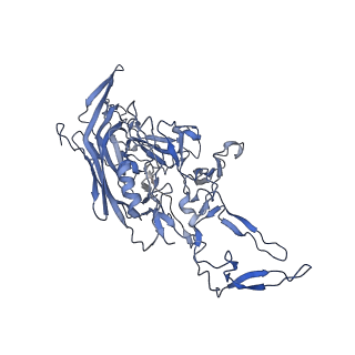 24003_7mua_K_v1-2
Structure of the adeno-associated virus 9 capsid at pH pH 5.5 in complex with terminal galactose