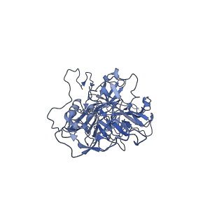 24003_7mua_L_v1-2
Structure of the adeno-associated virus 9 capsid at pH pH 5.5 in complex with terminal galactose