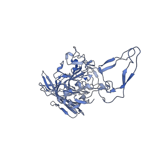 24003_7mua_M_v1-2
Structure of the adeno-associated virus 9 capsid at pH pH 5.5 in complex with terminal galactose