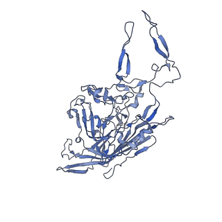 24003_7mua_P_v1-2
Structure of the adeno-associated virus 9 capsid at pH pH 5.5 in complex with terminal galactose