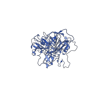 24003_7mua_U_v1-2
Structure of the adeno-associated virus 9 capsid at pH pH 5.5 in complex with terminal galactose