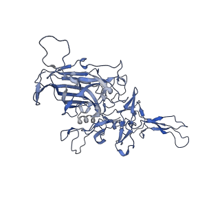 24003_7mua_W_v1-2
Structure of the adeno-associated virus 9 capsid at pH pH 5.5 in complex with terminal galactose