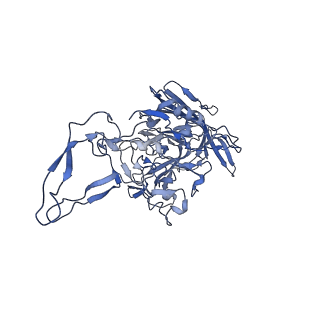 24003_7mua_X_v1-2
Structure of the adeno-associated virus 9 capsid at pH pH 5.5 in complex with terminal galactose