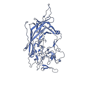 24003_7mua_Z_v1-2
Structure of the adeno-associated virus 9 capsid at pH pH 5.5 in complex with terminal galactose