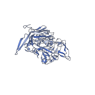 24003_7mua_b_v1-2
Structure of the adeno-associated virus 9 capsid at pH pH 5.5 in complex with terminal galactose